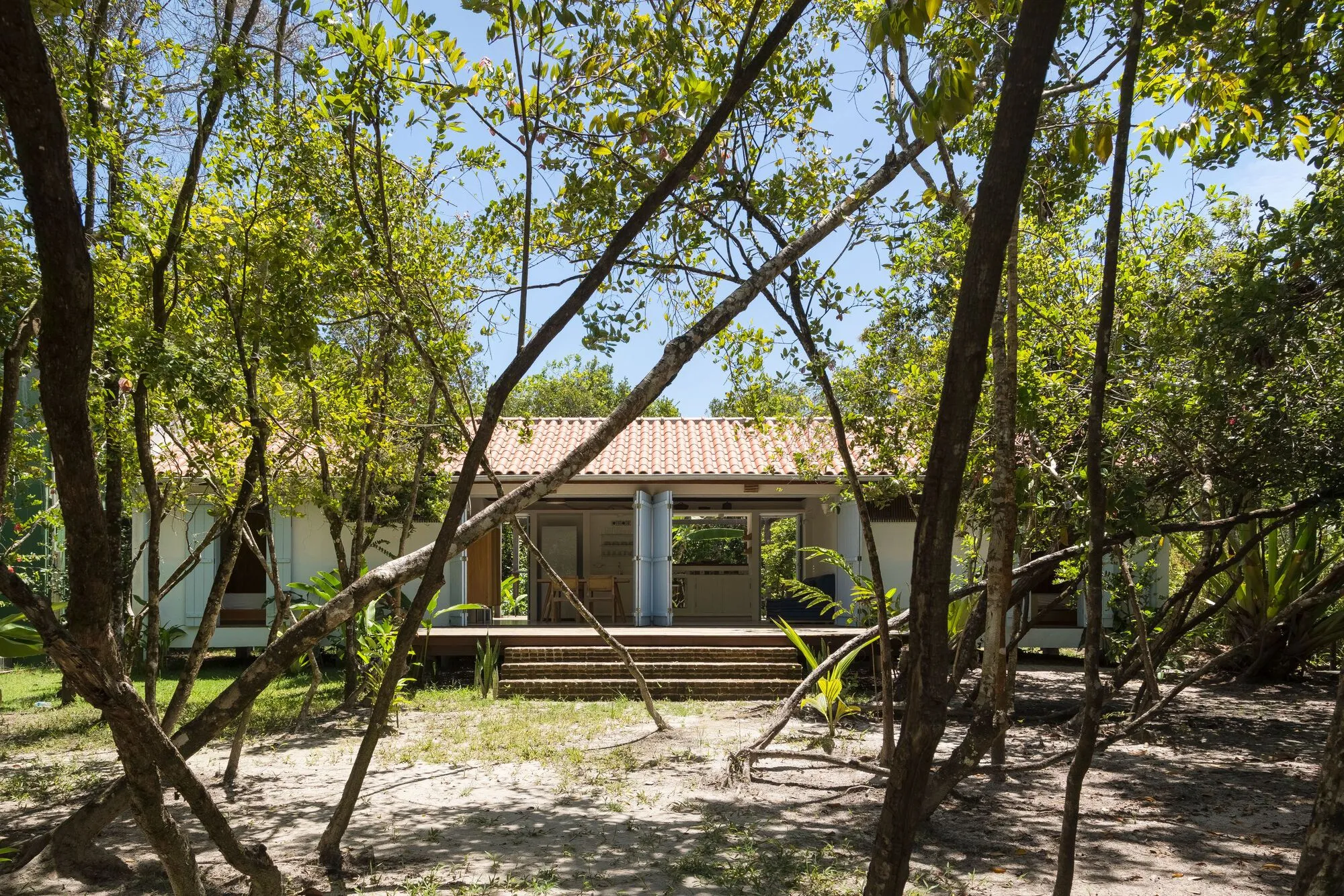 A Casa Palco vista de longe, entre os troncos da mata